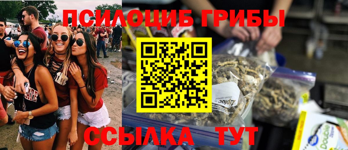 Сердобск  Псилоцибиновые грибы Psilocybine cubensis  Вход с VPN 